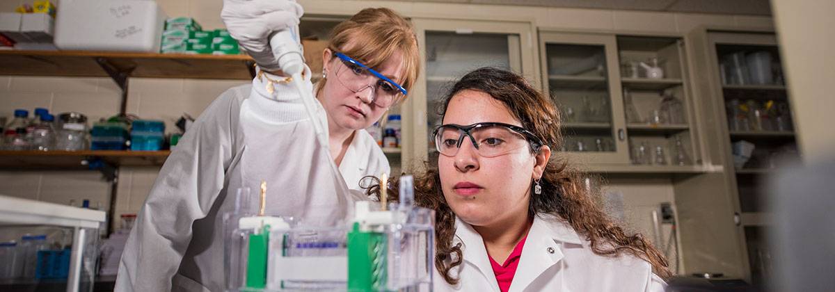 NIU graduate students conduct research in a lab.